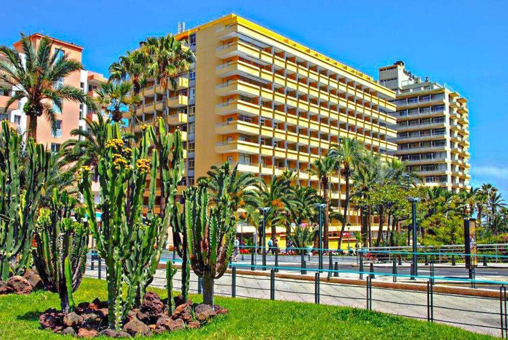 Amplio Estudio En Martianez Appartamento Puerto de la Cruz (Tenerife)